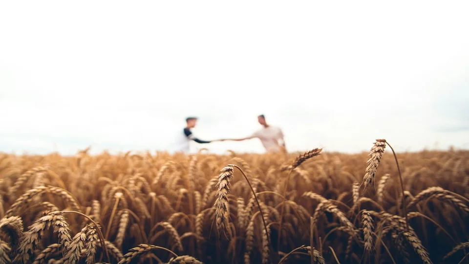 از اینستا به سایت آزمایش خاک کشاورزی؛ استوری فرآیند استعلام نمونه را به استعلام وصل کنید